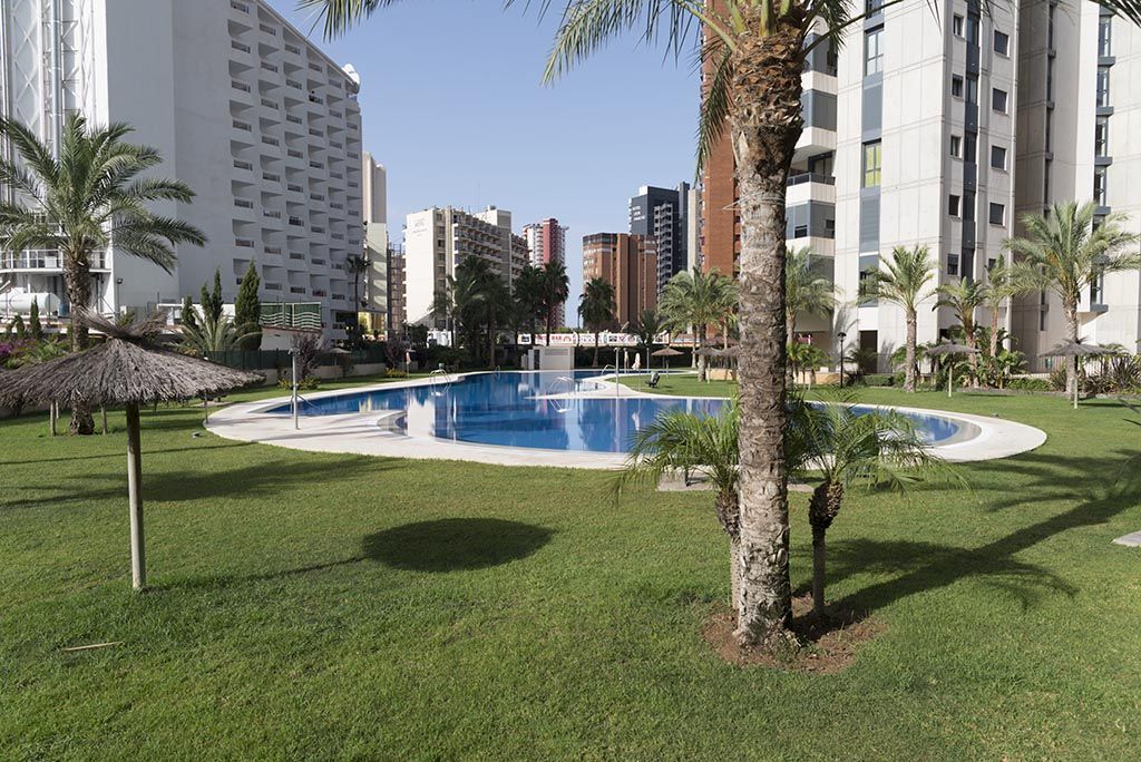 Apartments in Benidorm - Swimming pool Gemelos 26